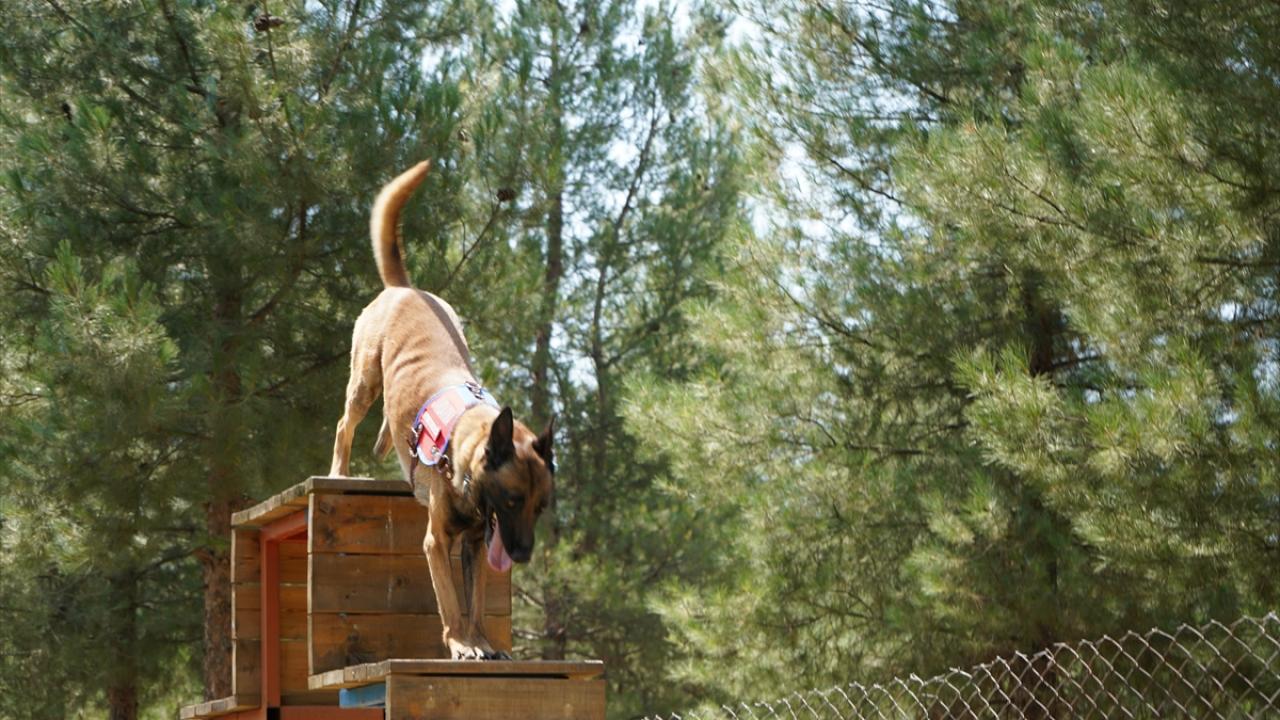 Her gün düzenli eğitim görüyorlar"
