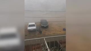 Adana'da fırtına ağaçları devirdi