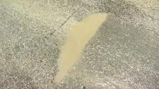 Zeytinburnu'nda 6 aydır mahalleye akan atık suya çözüm bulunamadı