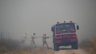 Edirne'nin Bulgaristan sınırında orman yangını