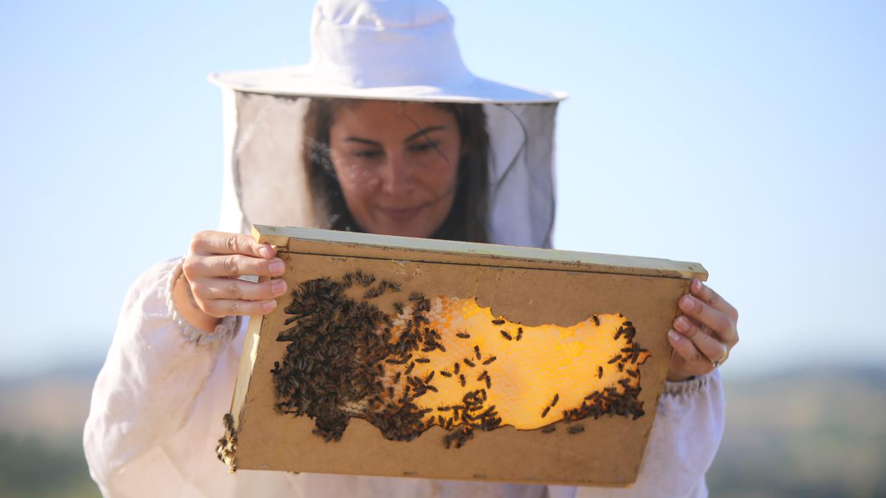 Önümüzdeki yıl için 50 sipariş aldı