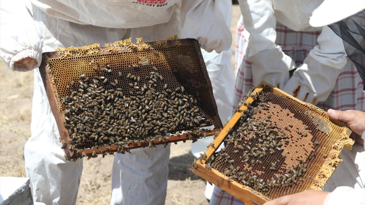 Arı alerjisine rağmen yapıyor