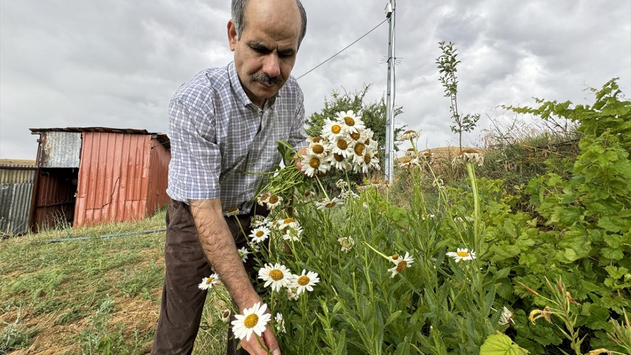 "Kendimi doğaya verdim"