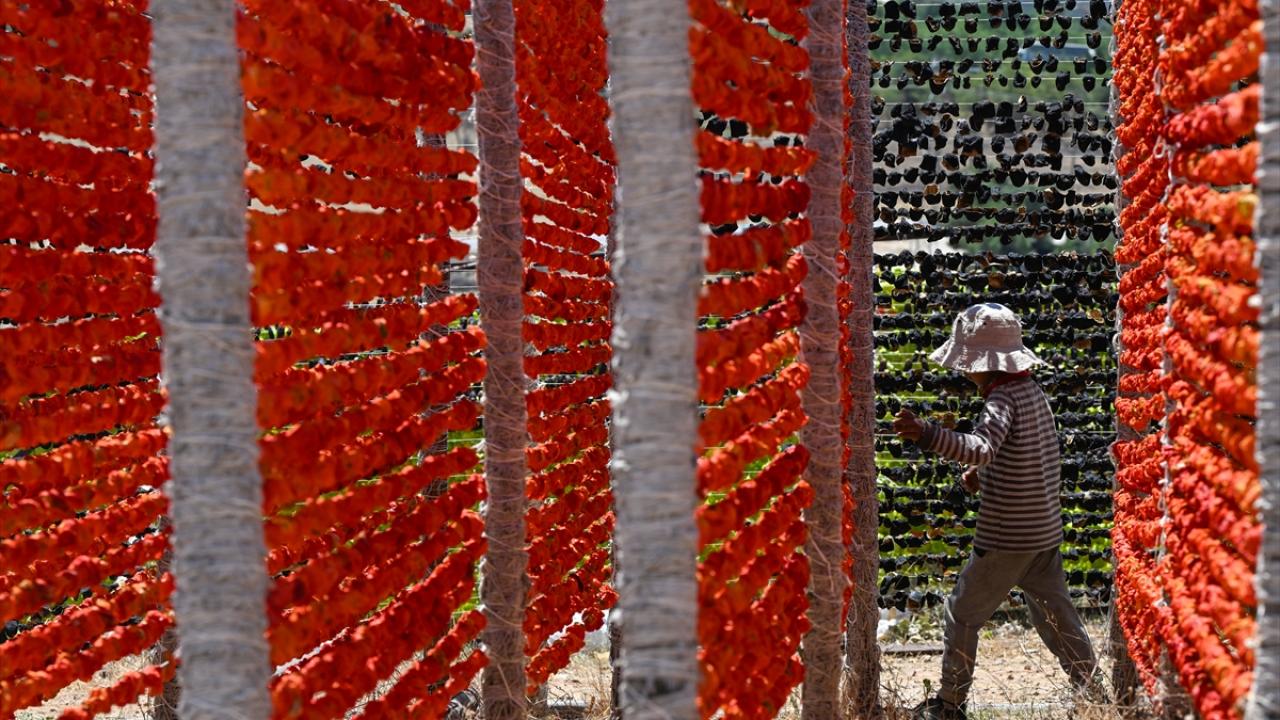 "Biber üretiminde Gaziantep Türkiye`de 2. sırada"