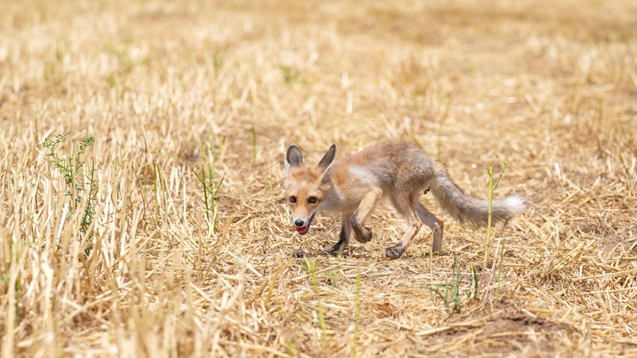 Öğrenciler özel bağ kurdular"
