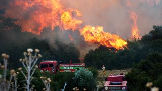 İzmir'de orman yangınları