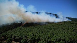 İstanbul Aydos Ormanı'nda yangın