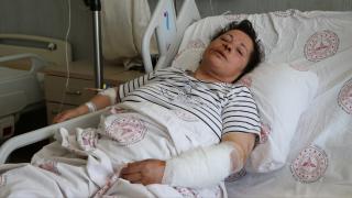 Niğde'de sahipli 2 köpeğin saldırdığı kadın yaralandı