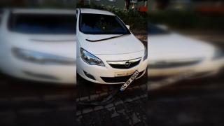 Başıboş sokak köpekleri park halindeki araca zarar verdi