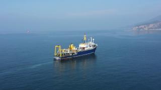 Karadeniz'de salyangozlar mercek altında