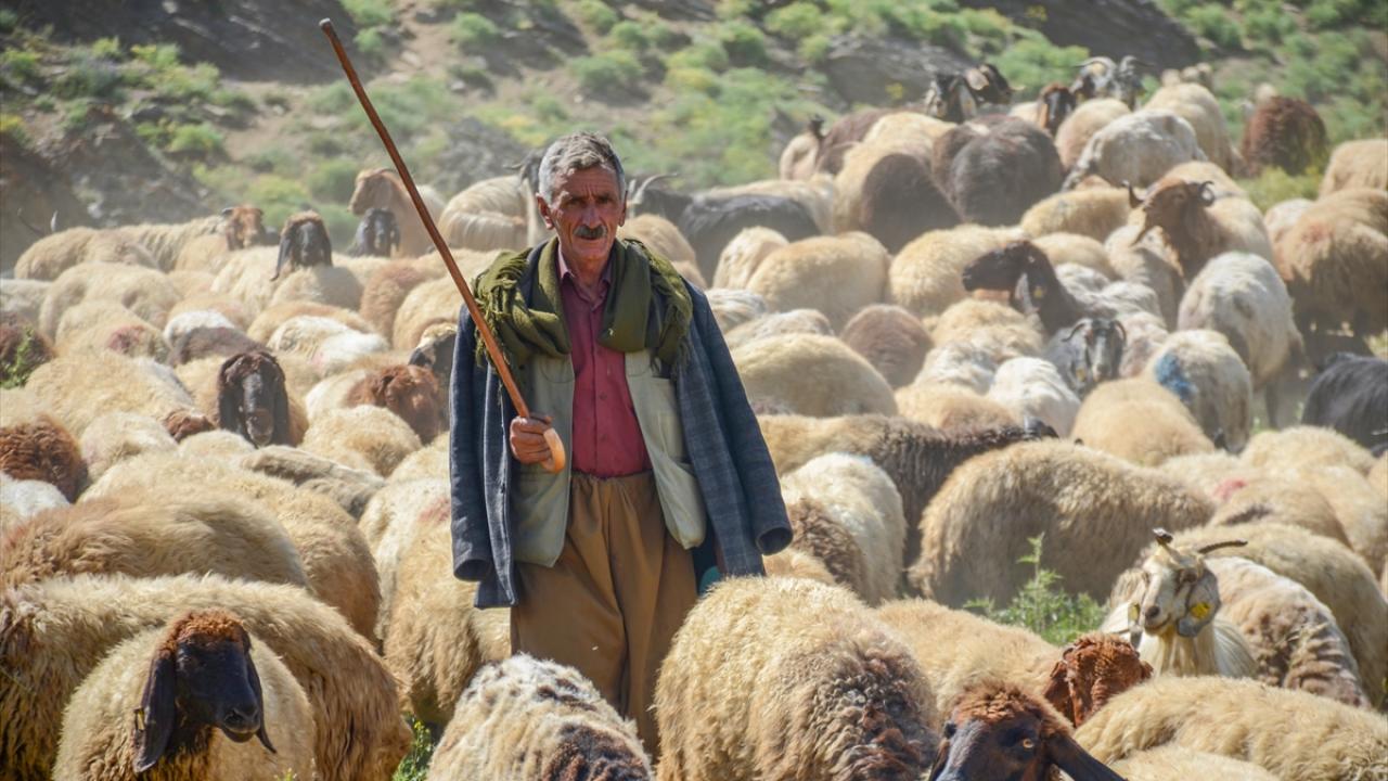 "Bu güzel hizmetin sürdürülmesini istiyoruz"
