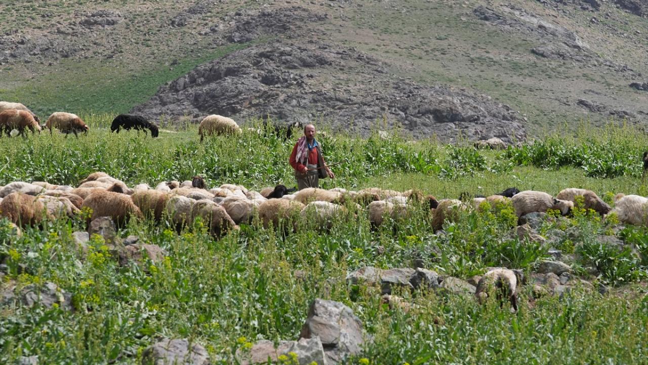 "Hayvan sağlığını korumak istiyoruz"