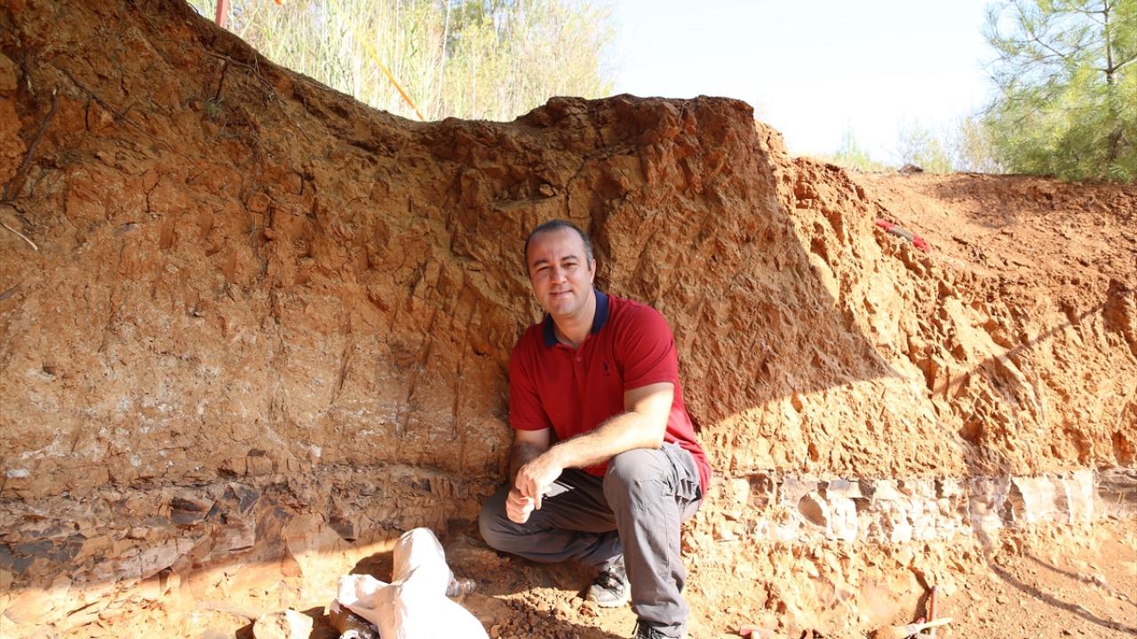 Çalışmalarda bulunan fosil sayısı 500`e ulaştı