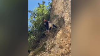 Mersin'de uçurumda mahsur kalan keçi 5. günün sonunda kurtarıldı