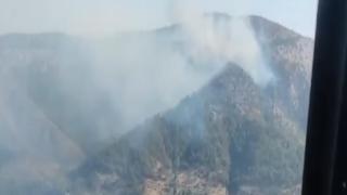 Muğla'da orman yangını çıktı