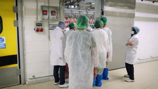 Veteriner hekimler sağlıklı et için görev başında