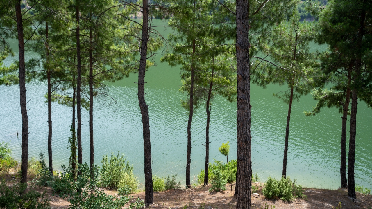 Haber-Fotoğraf: Ali Çilesizoğlu
