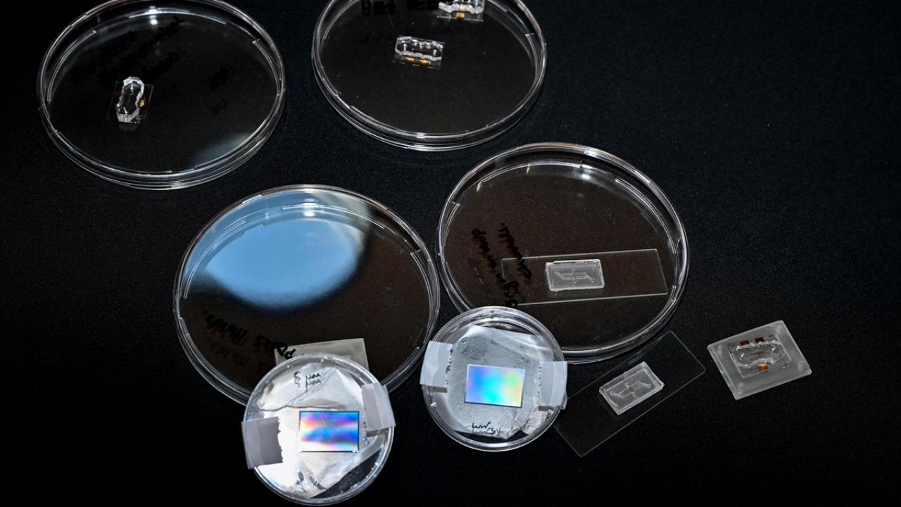 "Hayal bile edilemeyen bazı ürünlerin ortaya çıkmasını sağladı"