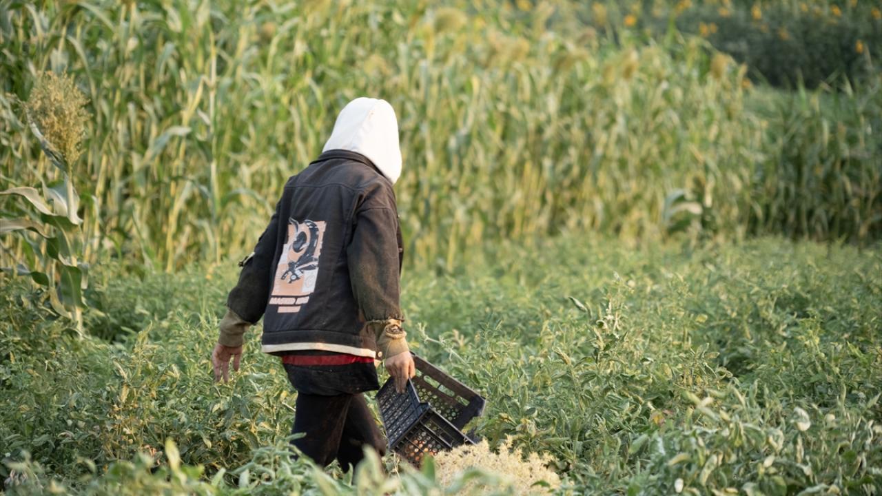 Terör örgütü PKK`nın Sincar`dan çıkarılmasını da kapsayan anlaşma uygulanmadı