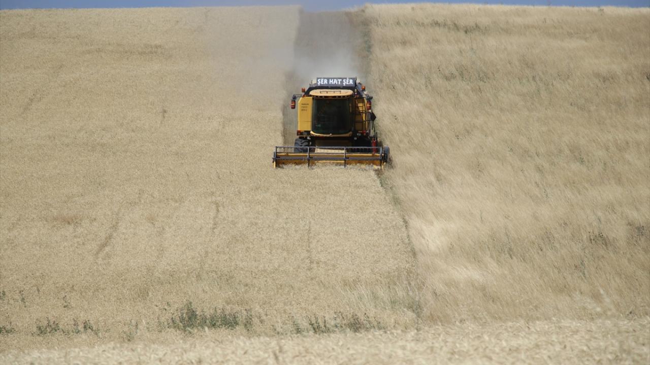 Vali Koç, anız yakılmaması için uyardı