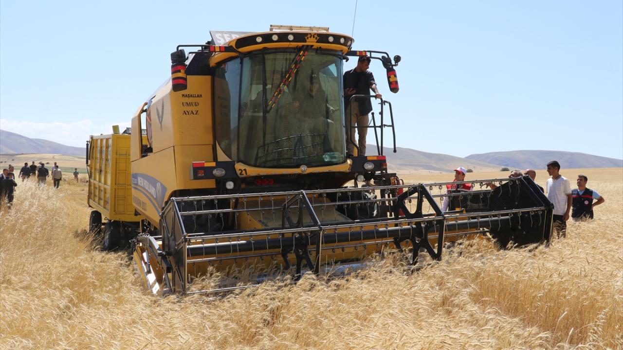 Devlet geçen yıl çiftçilere, 500 milyon lira destek parası verdi