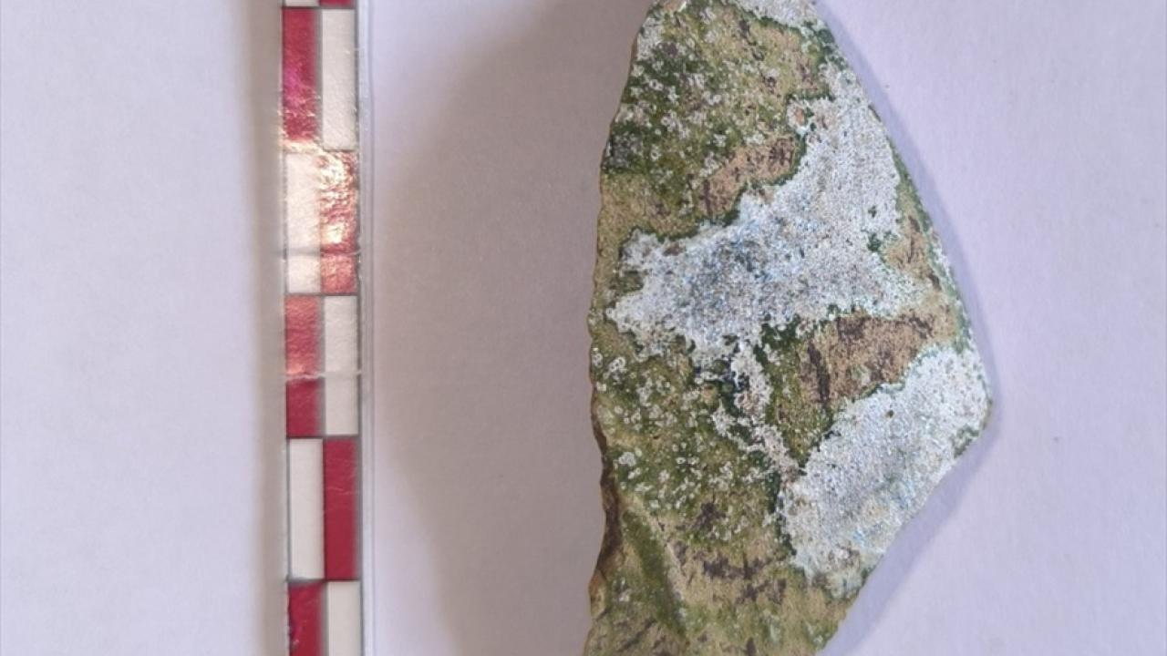 "Eldeki verilerle Abbasi camisi olduğunu düşünüyoruz"