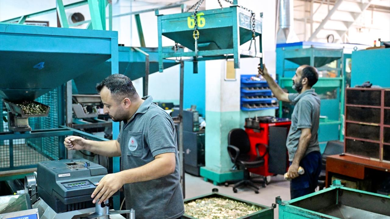 Cumhuriyet`in 100. yılı anısına 100 milyon 5 lira üretildi