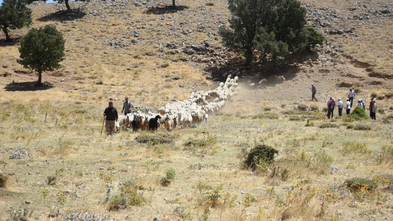 "Şu an hayvan varlığımız deprem sürecinin üzerinde"