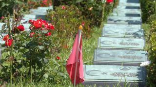 Güney Kore'de yatan Türk şehitler