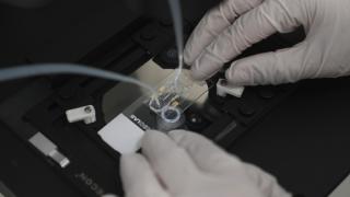 ODTÜ'nün çip merkezi sağlıkta 9 kritik alanda yerli çip üretiyor