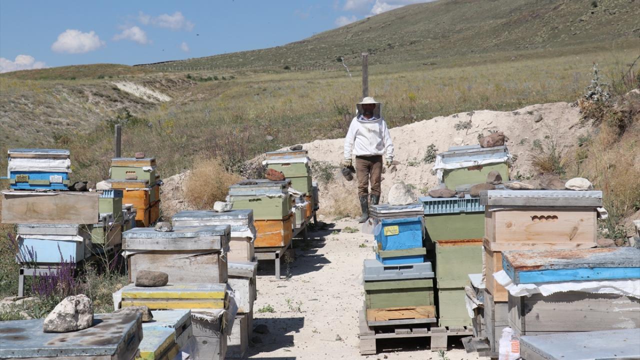 "Rakım yüksek ve çiçek florası fazla olduğu için balın kalitesi çok iyi"