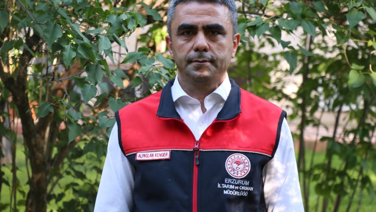 "Sezonda yaklaşık 200 bin arılı kovanı misafir ediyoruz"