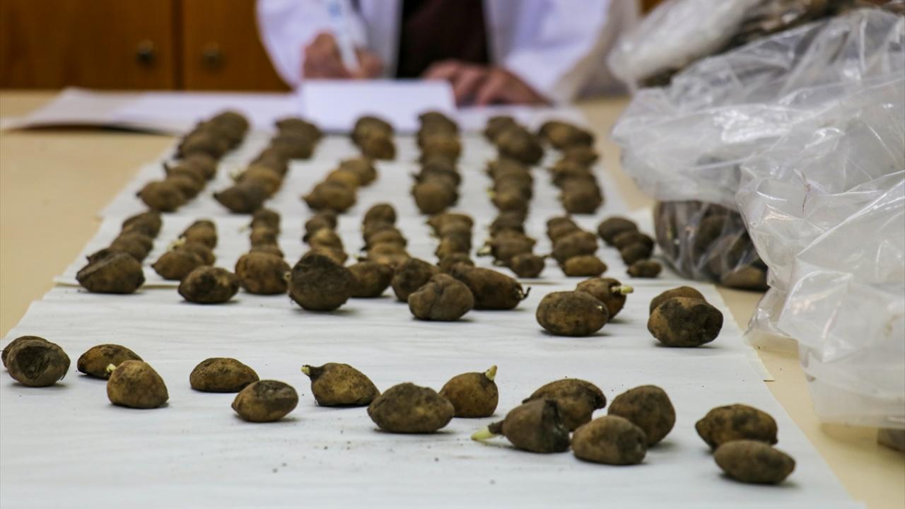 "6 biyokaçakçıya 2 milyon 400 bin lira ceza uygulandı"