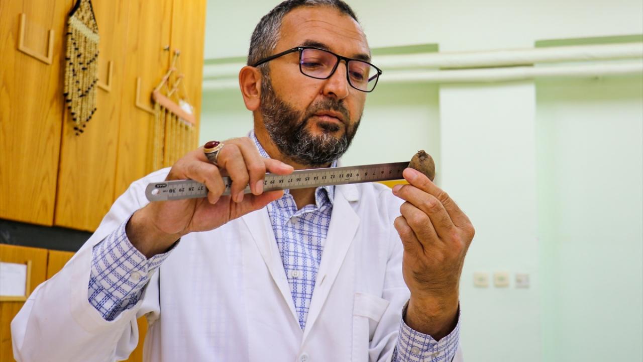 "Literatür çalışması yapıyoruz"