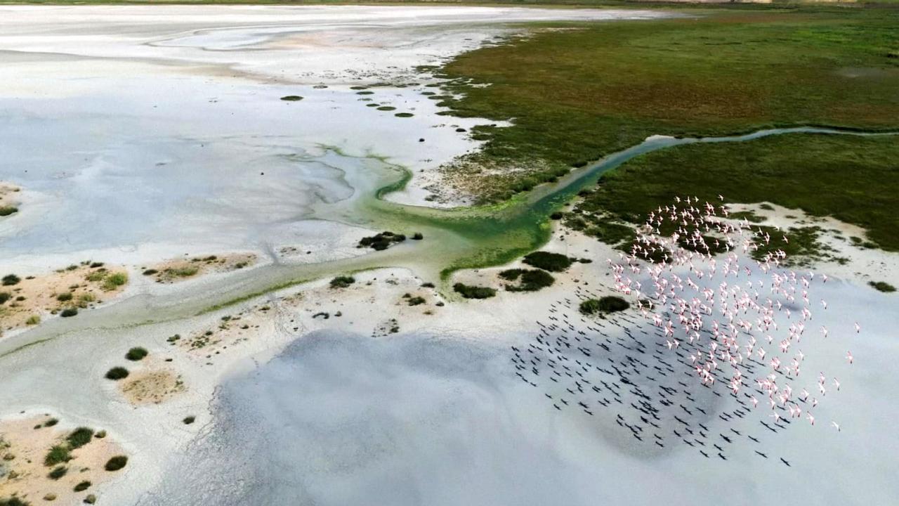 "Vahşi sulama bırakılmalı"