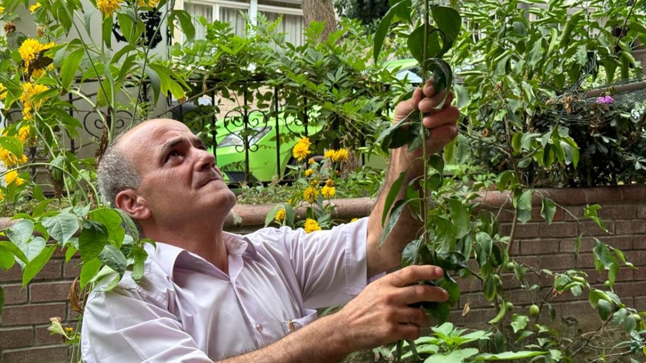 "Ben sıcakta otururum ama dalımı kestirmem"