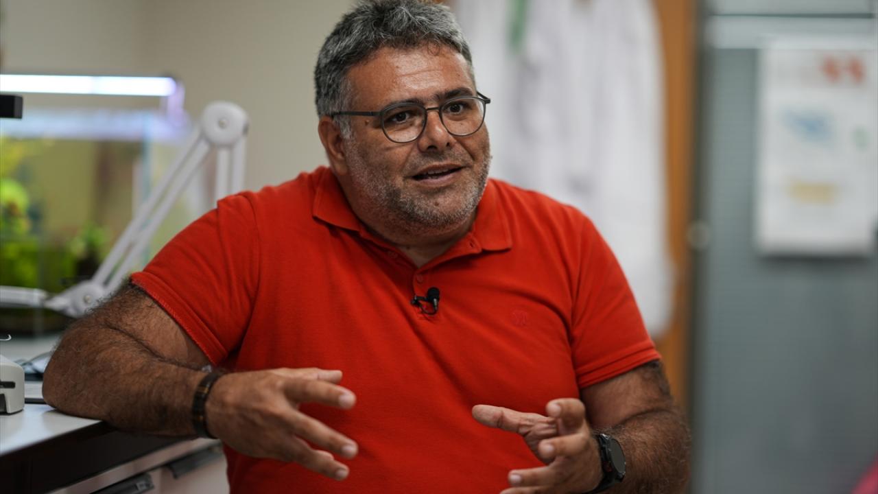 "Kar çekilmeye başladığı zaman yaprak ve çiçek açıyor"