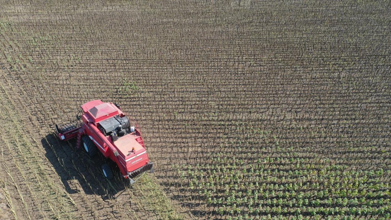 "Edirne`nin kuzeyi yağış aldı"