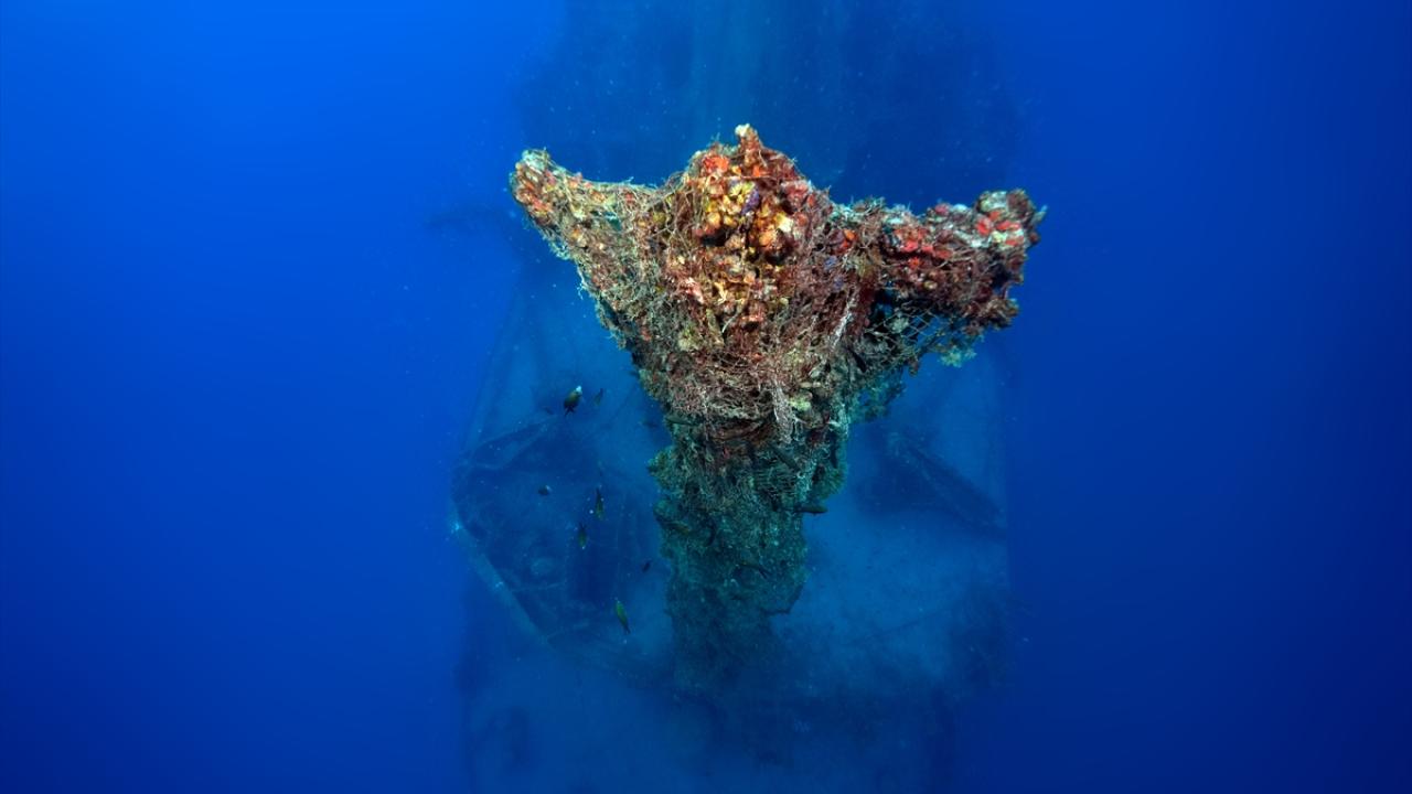 "Bu kadar zengin bir batık görüntüsü beni çok etkiledi"