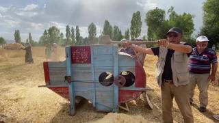 100 yıllık tarım aletleriyle buğday hasadı