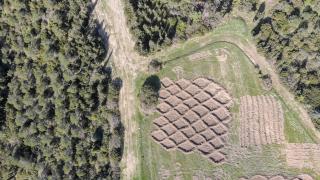 Ağaçlandırmada "hilal" ve "baklava" setleri başarı sağladı
