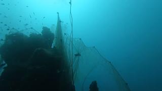 TRT Haber ekipleri Terkos Gölü'nde hayalet ağ temizliğini görüntüledi