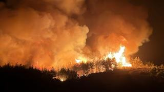 Muğla'da orman yangını