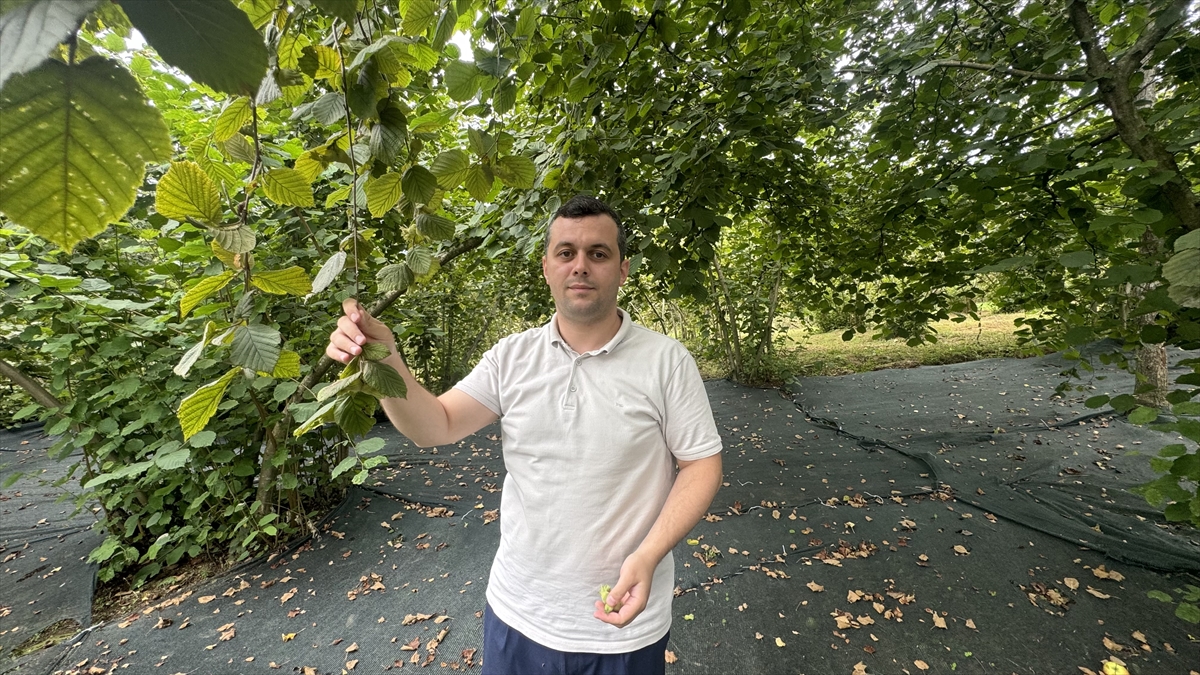 "Fındıkla ilgili yenilikçi yaklaşımları sergilemeye çalışıyoruz"