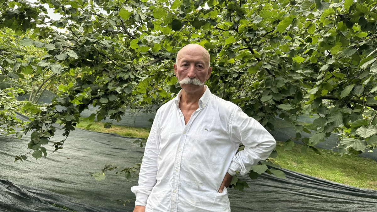 "Normalde 26 yevmiyeli yerimiz ama bu örtü olayıyla 8 yevmiyeye düşüyor"