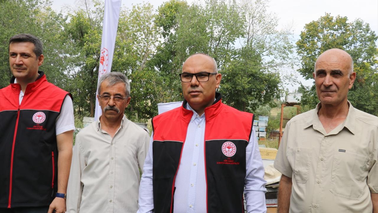 550 arıcı, 70 bin kovanda bal üretiyor