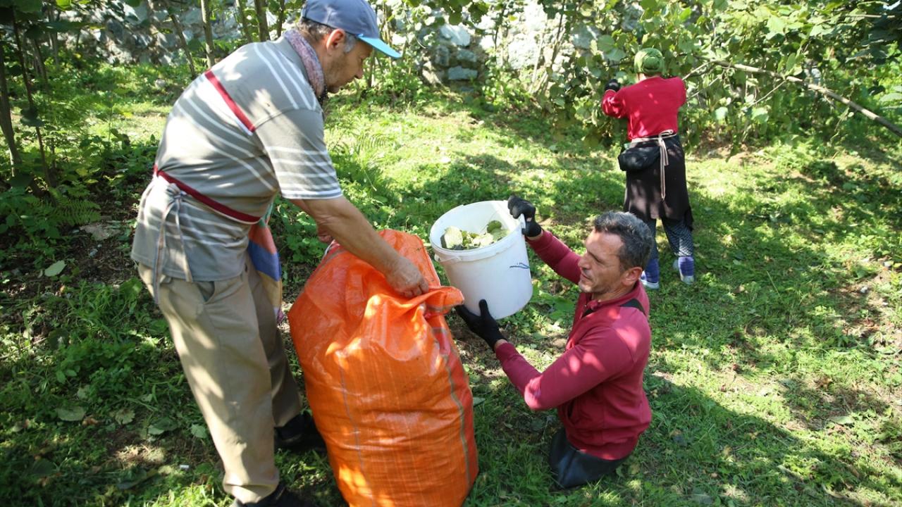 "İmdat`ı hepimize güzel bir örnek olduğu için de takdir etmek lazım"