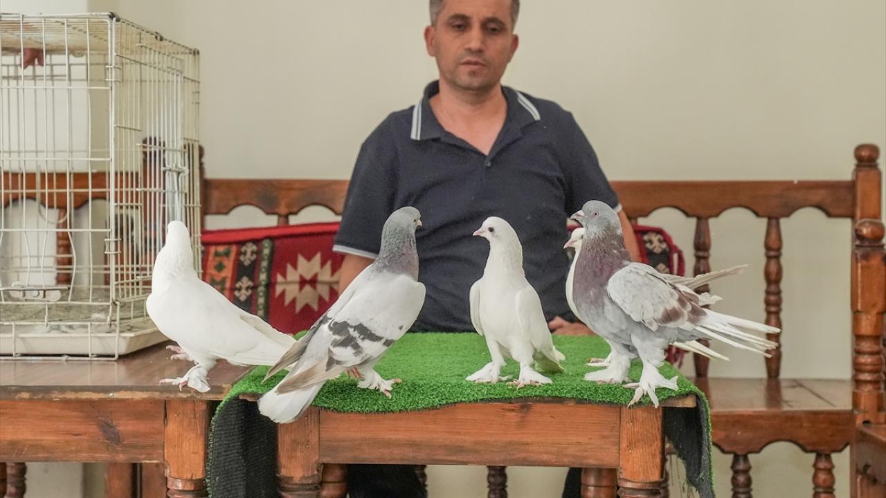 "Haftada en az 5 sefer havuz banyosuyla serinlemelerini sağlıyoruz"