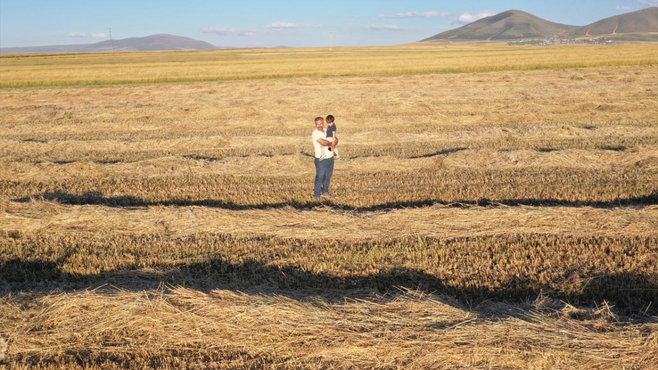"Bu yıl 50 bin dekara yakın bir alanı tarıma açmış olduk"