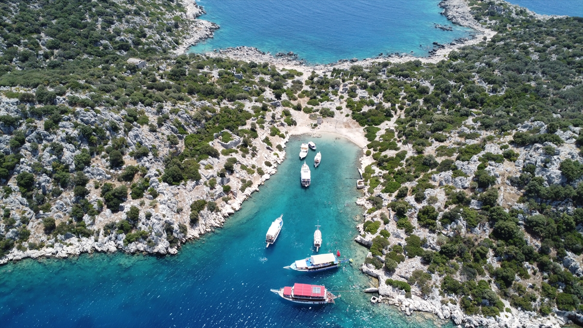 "Akdeniz fokları, caretta carettaları görebiliyorlar"